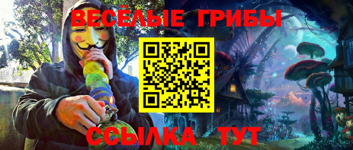 Хабаровск  Галлюциногенные грибы Psilocybe  Псилоцибиновые грибы Psilocybine cubensis  Вход с VPN 